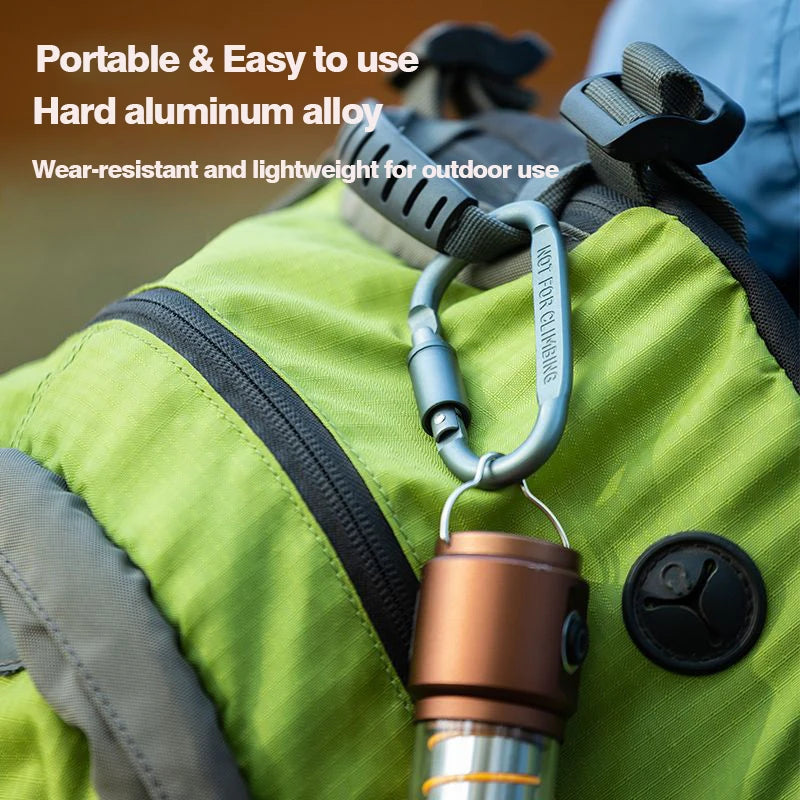 5pcs Tactical Carabiner Set