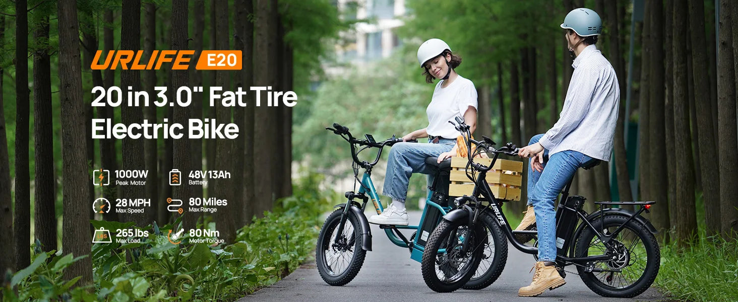 1000W E20 Electric Bike 48V 13Ah Removable Battery 20"x3" Fat Tire 7-Speed