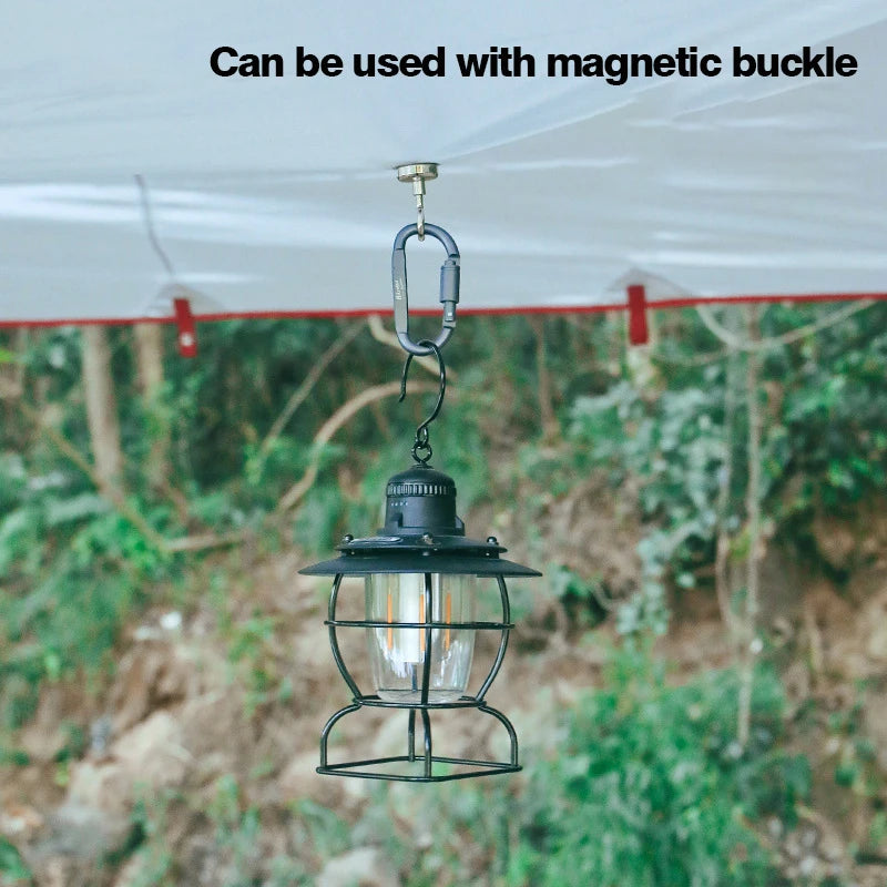 5pcs Tactical Carabiner Set