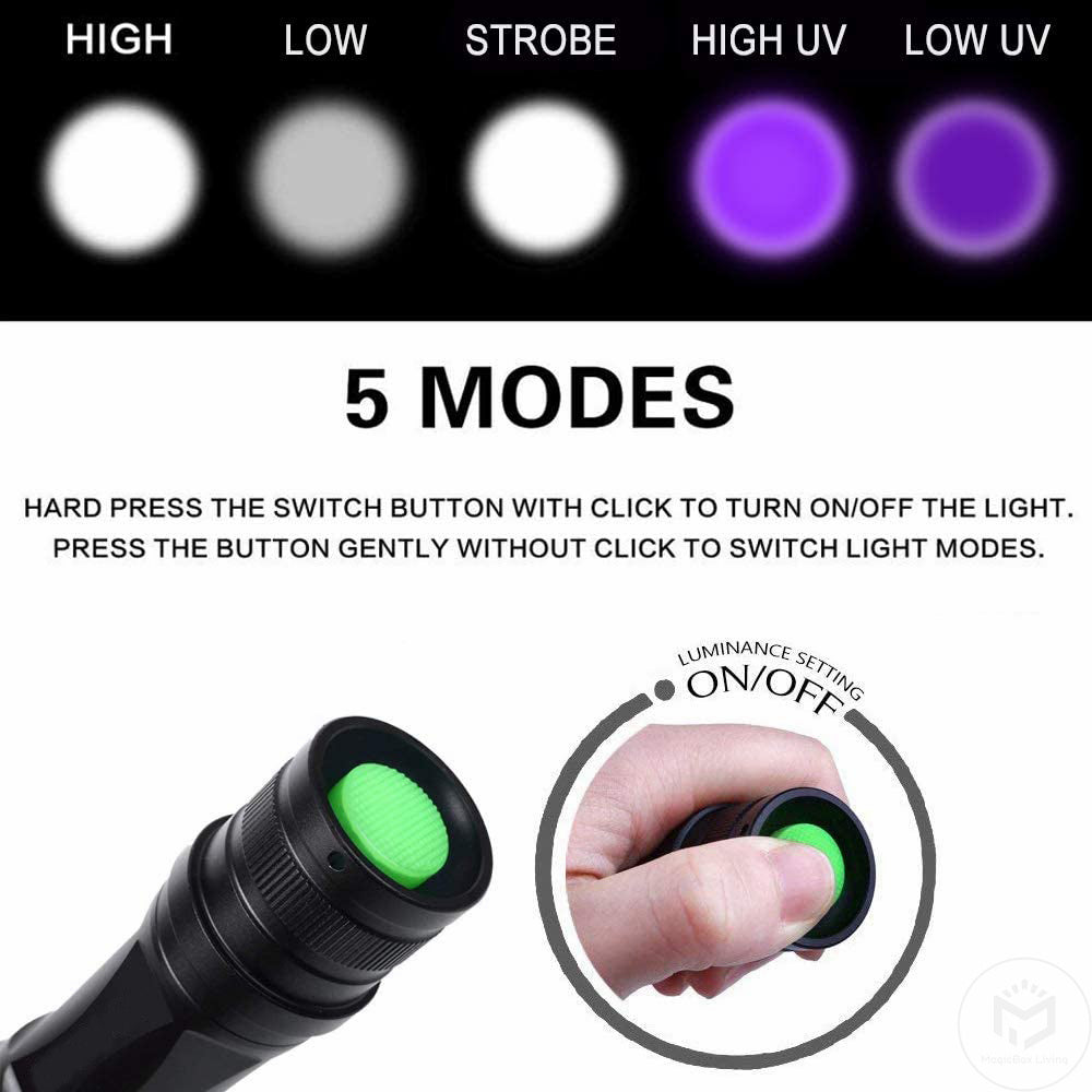 2-in-1 UV Flashlight | Rechargeable Zoomable LED Blacklight Torch for Pet Urine & Stain Detection