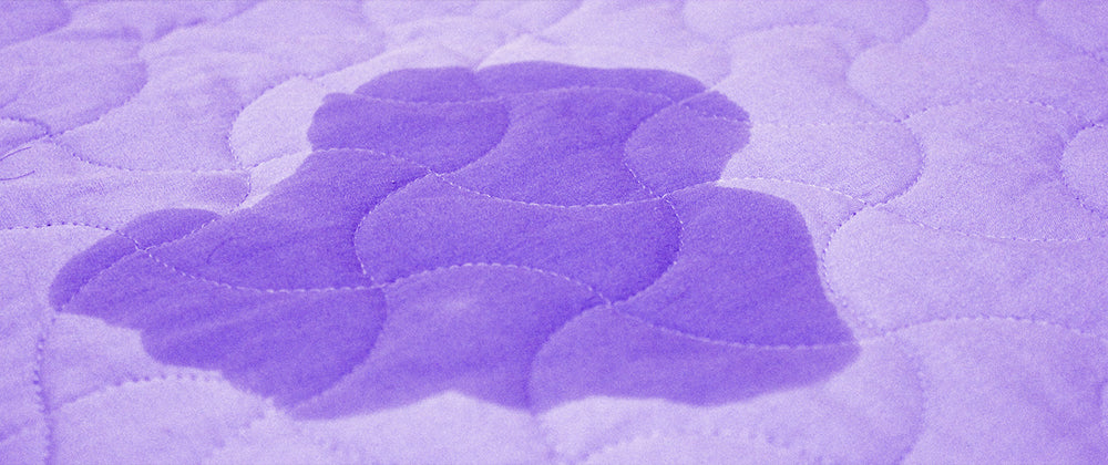 2-in-1 UV Flashlight | Rechargeable Zoomable LED Blacklight Torch for Pet Urine & Stain Detection