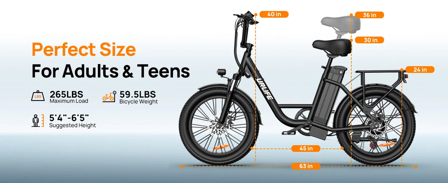 1000W E20 Electric Bike 48V 13Ah Battery 20" Fat Tire 7-Speed Dual Disc Brake
