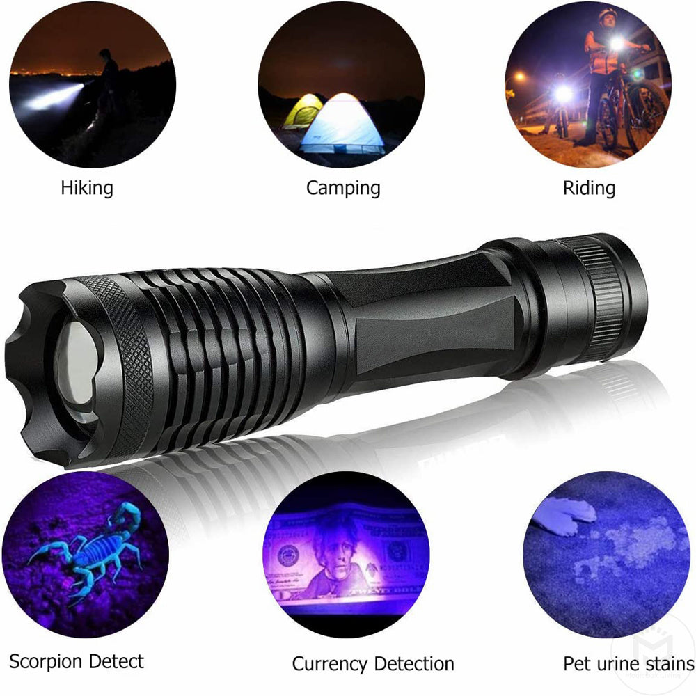2-in-1 UV Flashlight | Rechargeable Zoomable LED Blacklight Torch for Pet Urine & Stain Detection