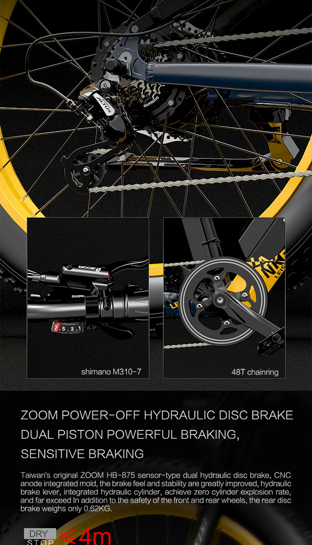 LANKELEISI RV700 Electric Bike 1000W 48V 16Ah Hybrid Cruiser Mountain City E-Bike